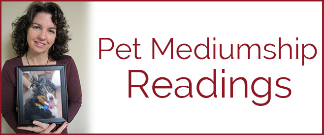 Pet Mediumship Readings
