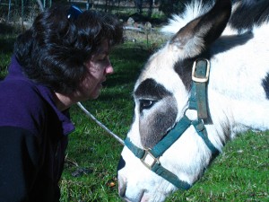 Cara and Poppy the donkey