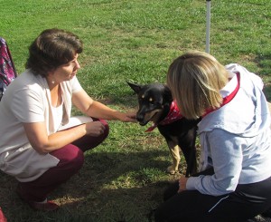 Cara doing a dog reading