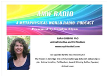 A Metaphysical World Radio