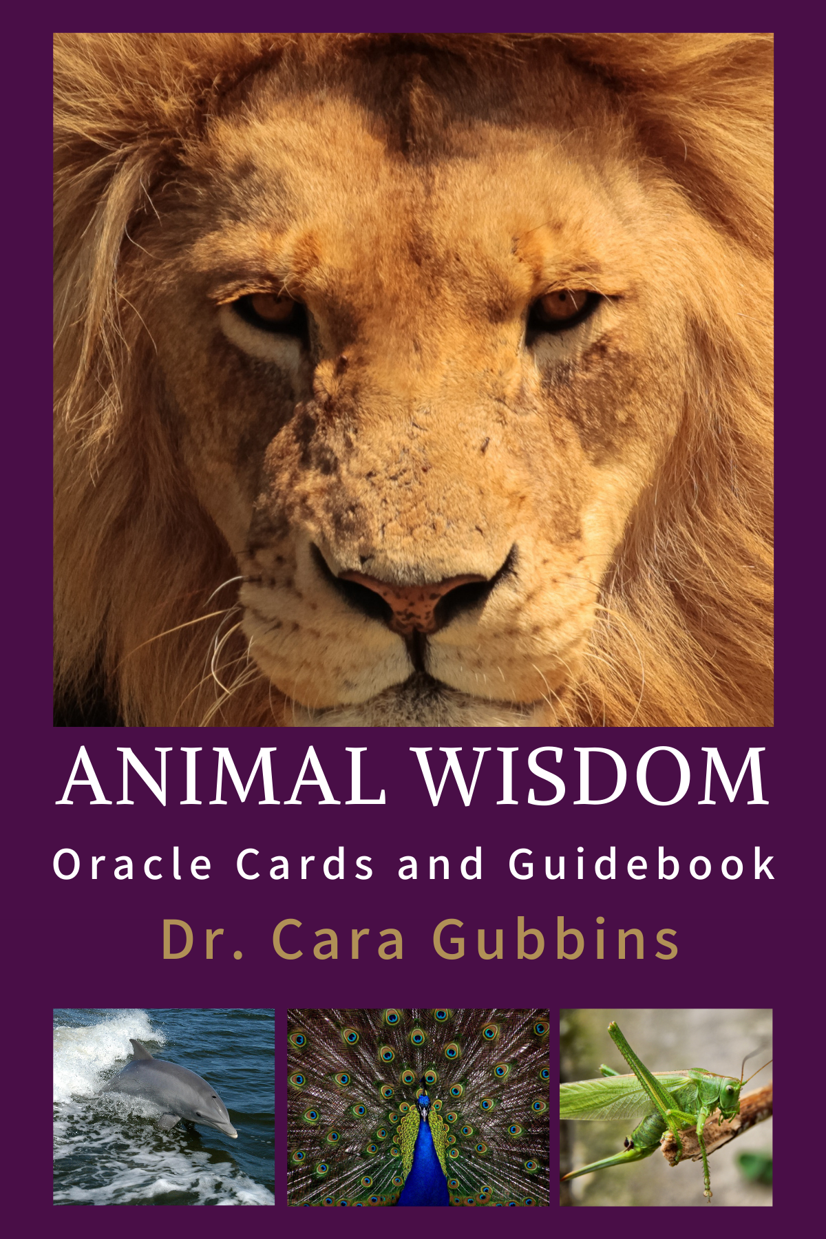 Animal Wisdom Oracle Cards – Dr. Cara Gubbins