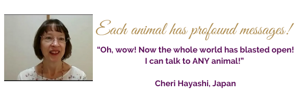 Cheri Hayashi PRAISE Slideshow