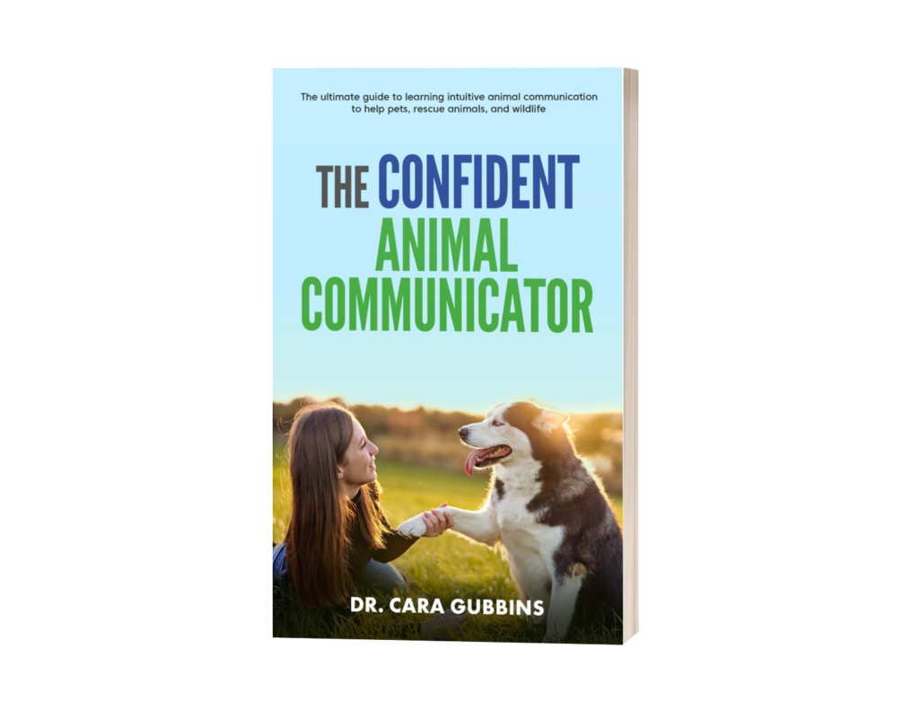 Dr. Cara Gubbins – Global Leader in Animal Communication