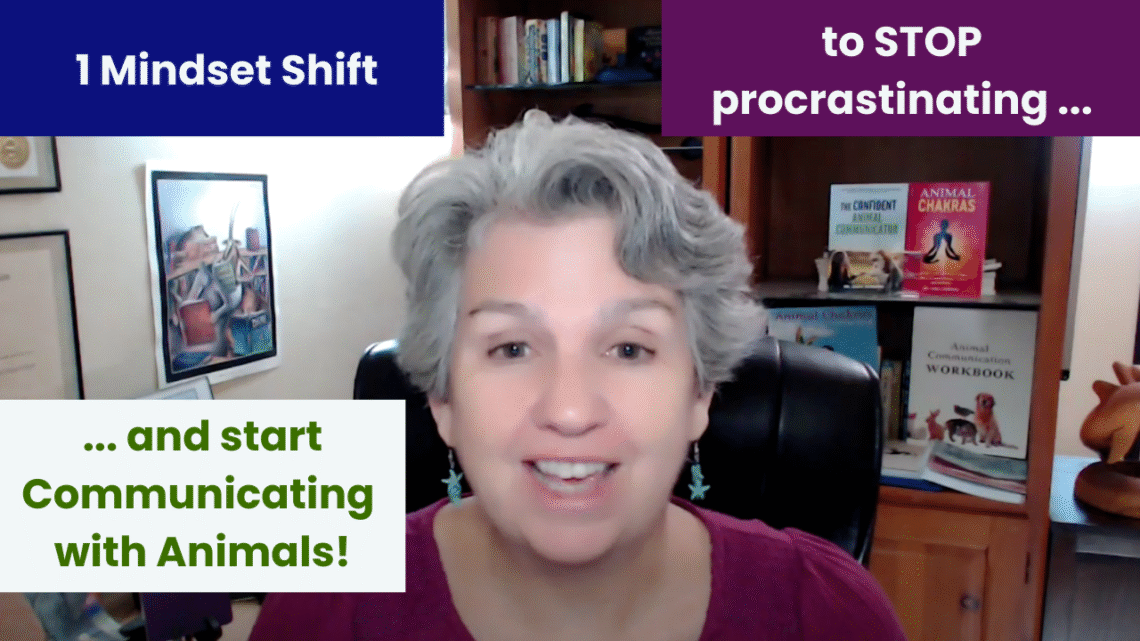 Animal communication with Dr Cara Gubbins