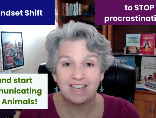 Animal communication with Dr Cara Gubbins